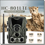 Уличная MMS фотоловушка Филин HC-801 LTE-Li-4G с отправкой фото на телефон с записью на карту памяти